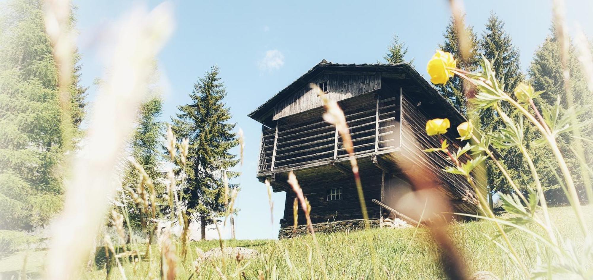 Unser kleines Bauernhaus Maria Luggau Exterior foto
